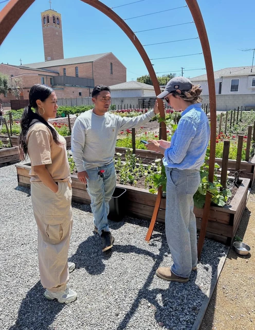 Alma Backyard Farms